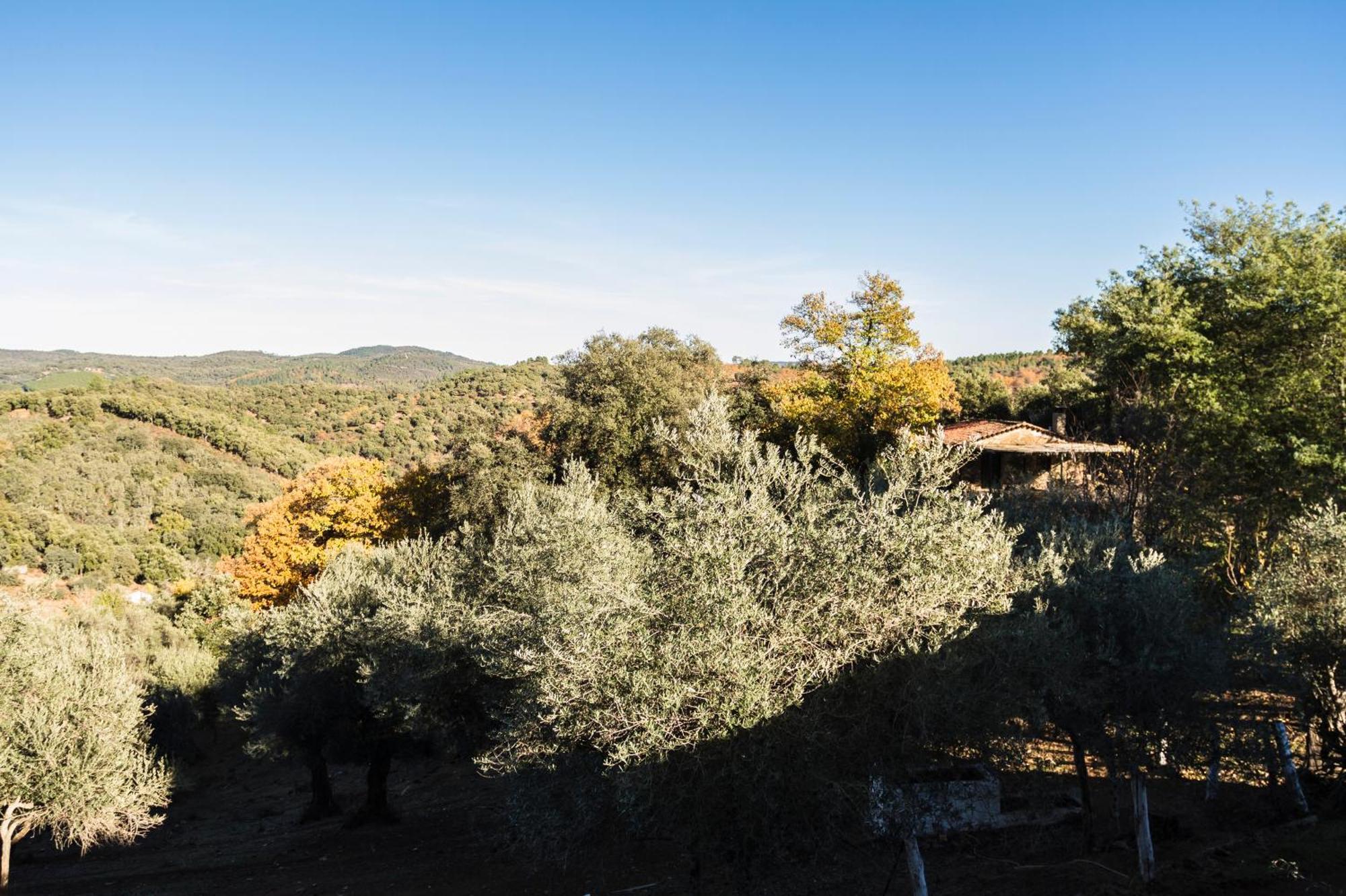 Affittacamere Pozuelo 1 Jabugo Esterno foto