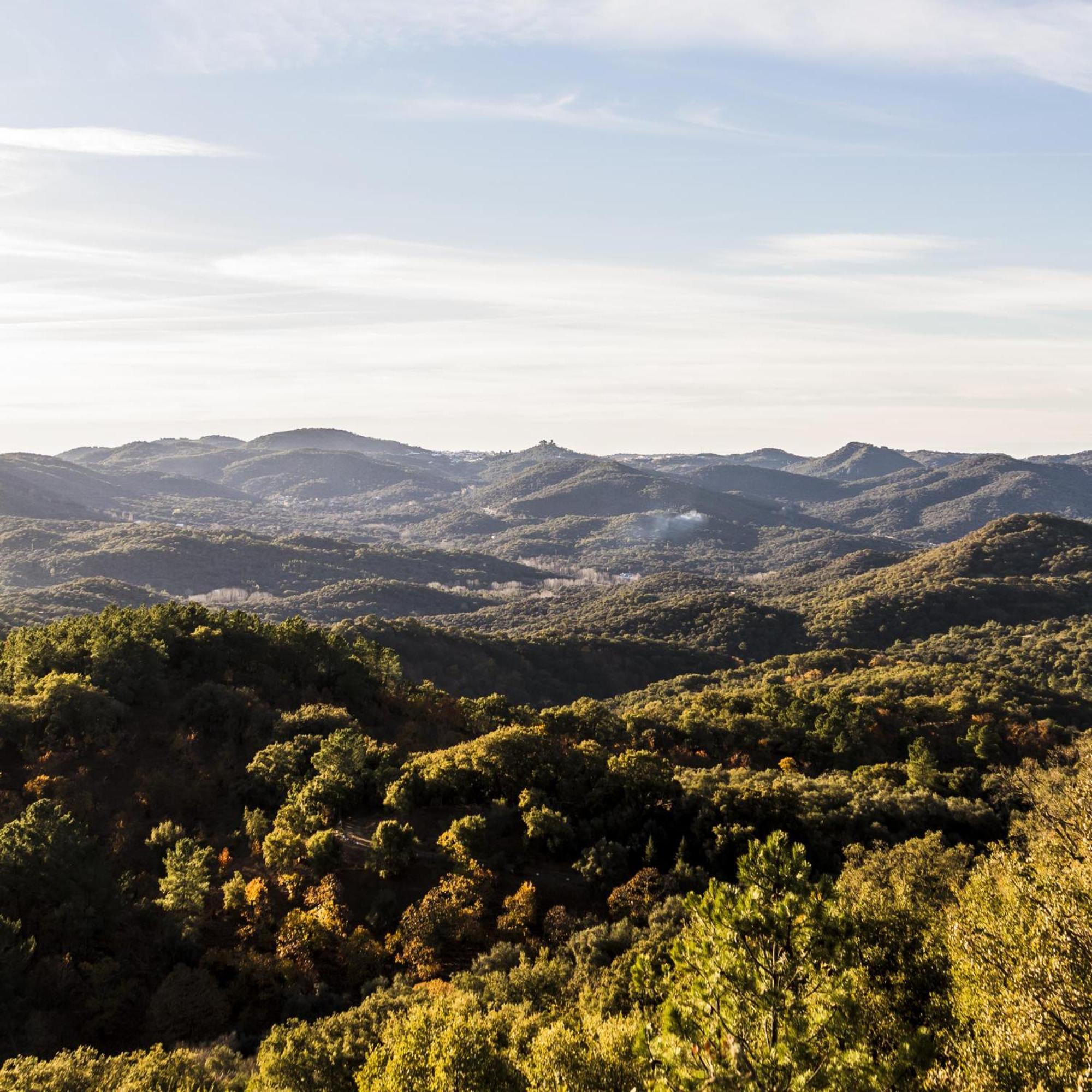 Affittacamere Pozuelo 1 Jabugo Esterno foto